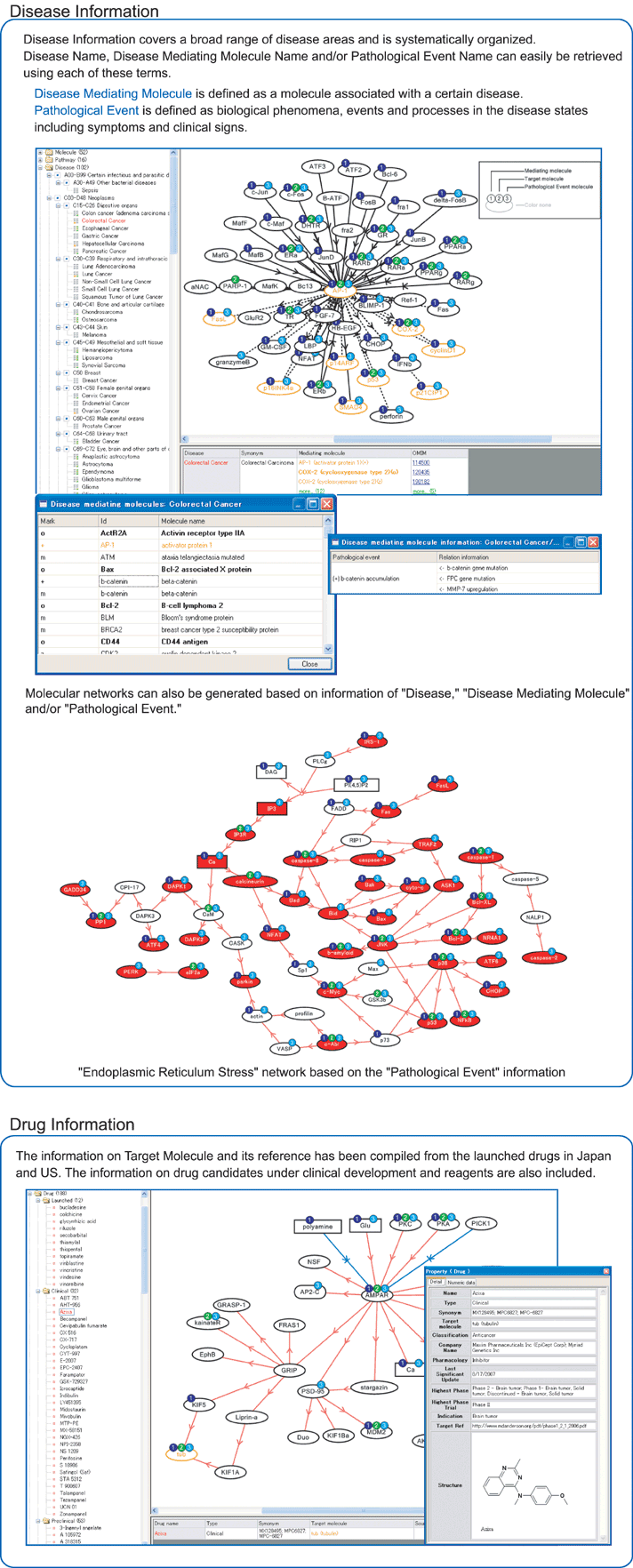 Disease Information covers a broad range of disease areas and is systematically organized.Disease Name, Disease Mediating MoleculeAName and/or Pathological Event Name can easily be retrieved using each of these terms.Disease Mediating Molecule is defined as a molecule associated with a certain disease.Pathological Event is defined as biological phenomena, events and processes in the disease states including symptoms and clinical signs.Molecular networks can also be generated based on information of gDisease,h gDisease Mediating Moleculeh and/or gPathological Event.hgEndoplasmic Reticulum Stressh network based on the gPathological Eventh information.Drug Information The information on Target Molecule and its reference has been compiled from the launched drugs in Japan and US. The information on drug candidates under clinical development and reagents are also included.