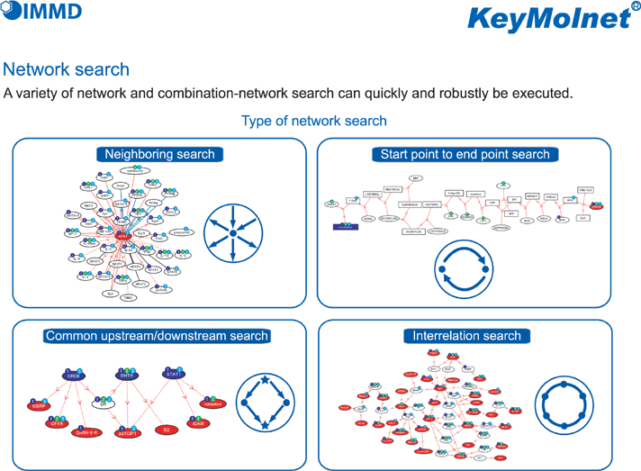 Variety of network and combination-network searches can quickly be executed with robustness.