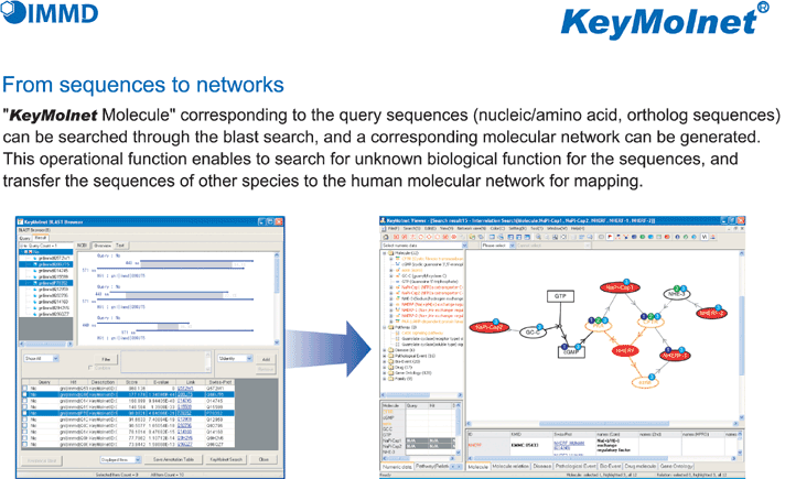gKeyMolnet Moleculeh corresponding to the query sequences (nucleic/amino acid, ortholog sequences) can be searched through the blast search, and a corresponding molecular network can be generated.This operational function enables to search for unknown biological function for the sequences, and transfer the sequences of other species to the human molecular network for mapping. 
