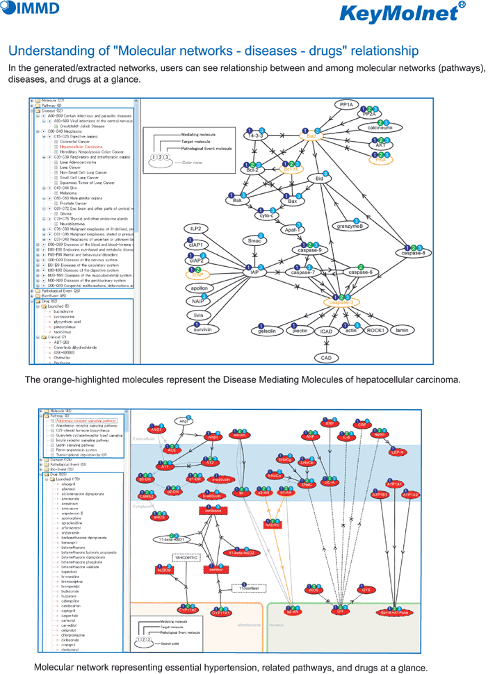 In the generated/extracted networks, users can see relationship between and among molecular networks (pathways), diseases, and drugs at a glance. The orange-highlighted molecules represent the Disease Mediating Molecules of hepatocellular carcinoma.Molecular network representing essential hypertension, related pathways, and drugs at a glance